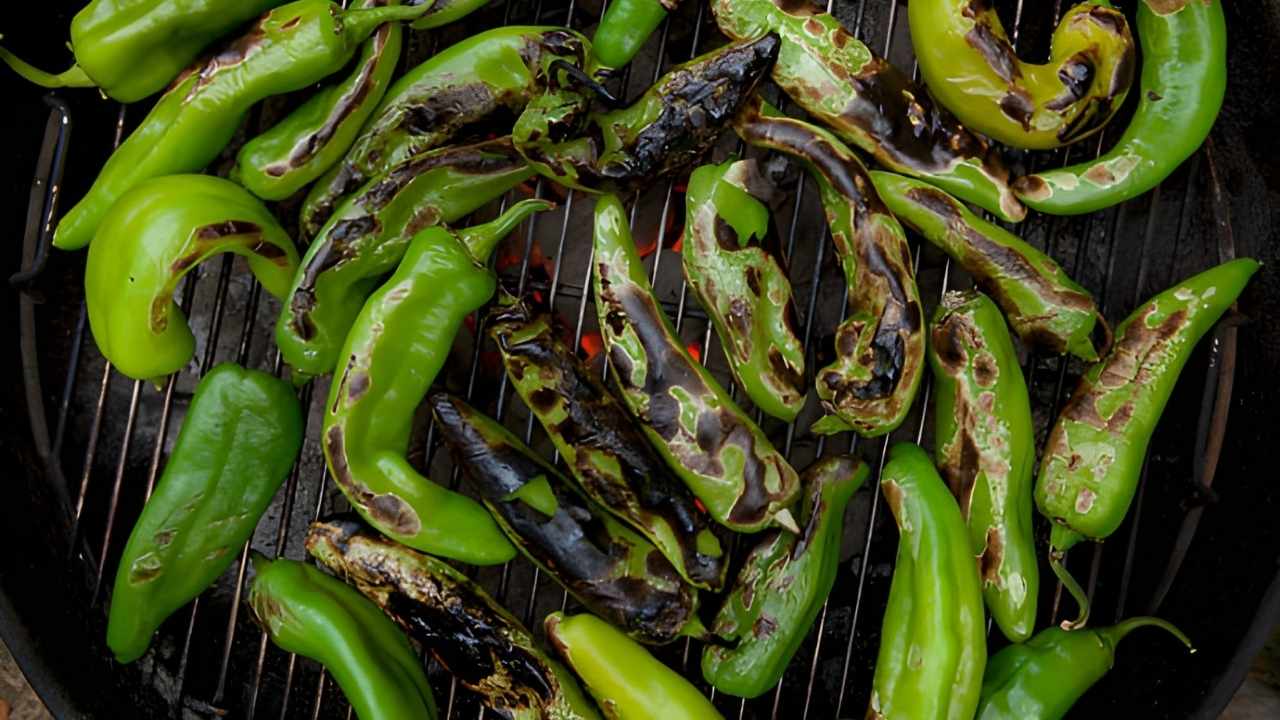 hatch pepper recipes
